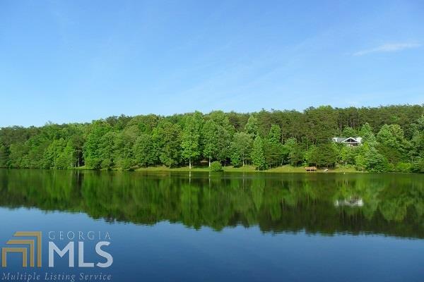 610 Deer Trail Lakes - Photo 1