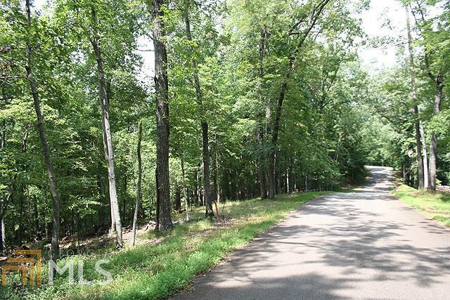 0 Chokecherry - Photo 1