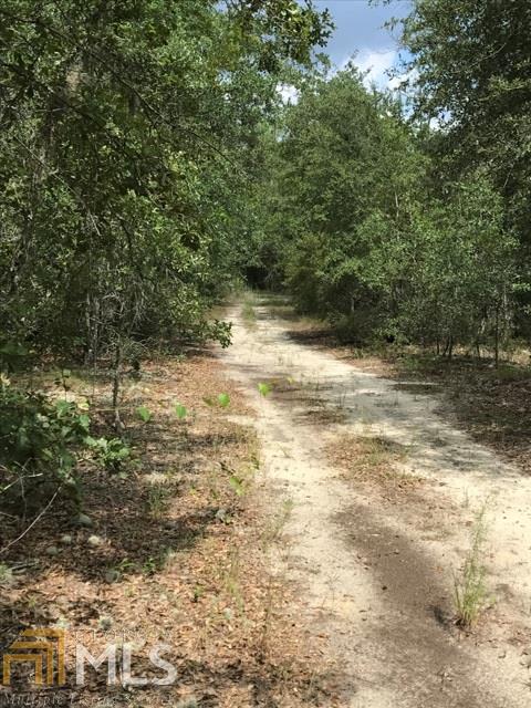 730 Maxie Ball Rd - Photo 1