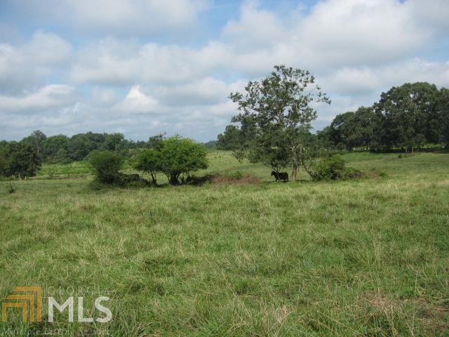 7911 Holly Springs Rd - Photo 1