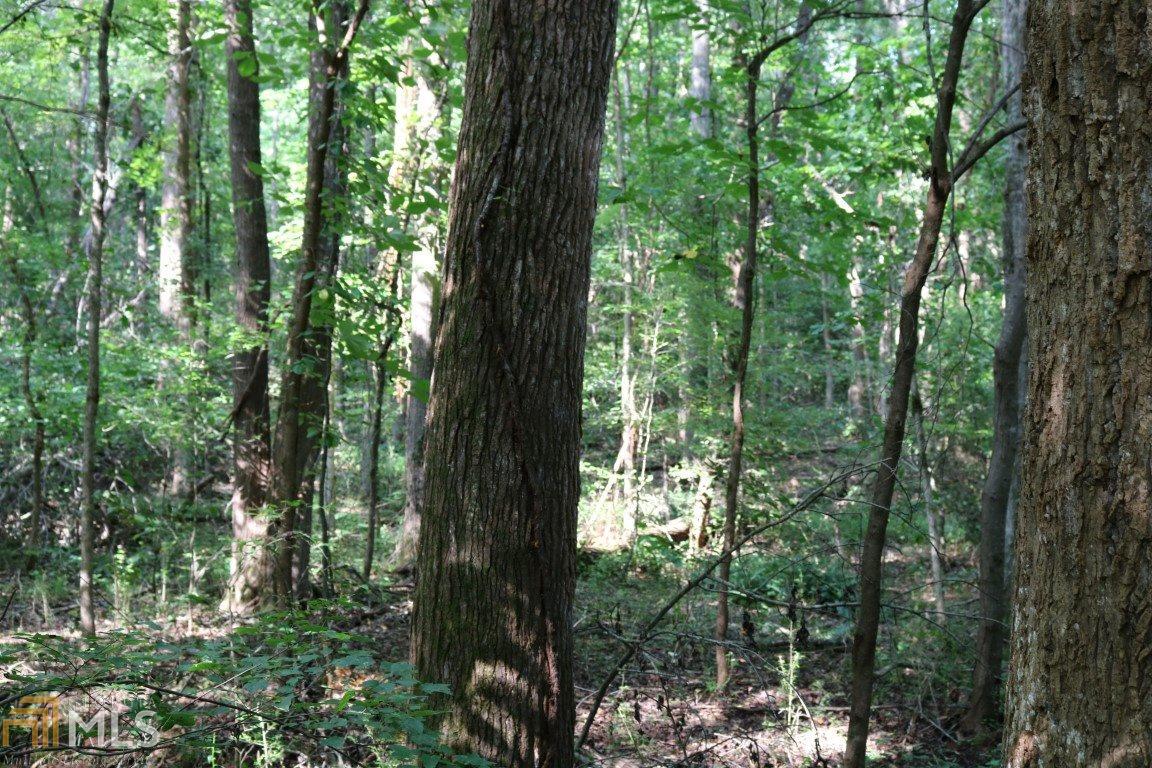 0 Cedar Ln - Photo 1