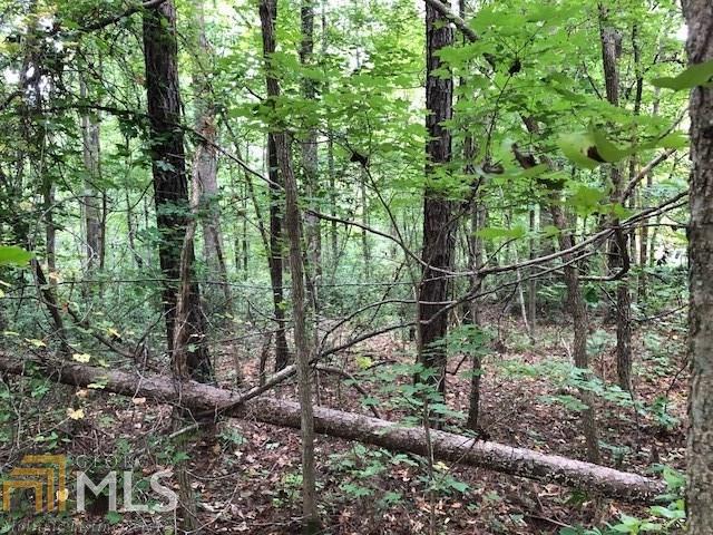 0 Longwood Ln - Photo 1