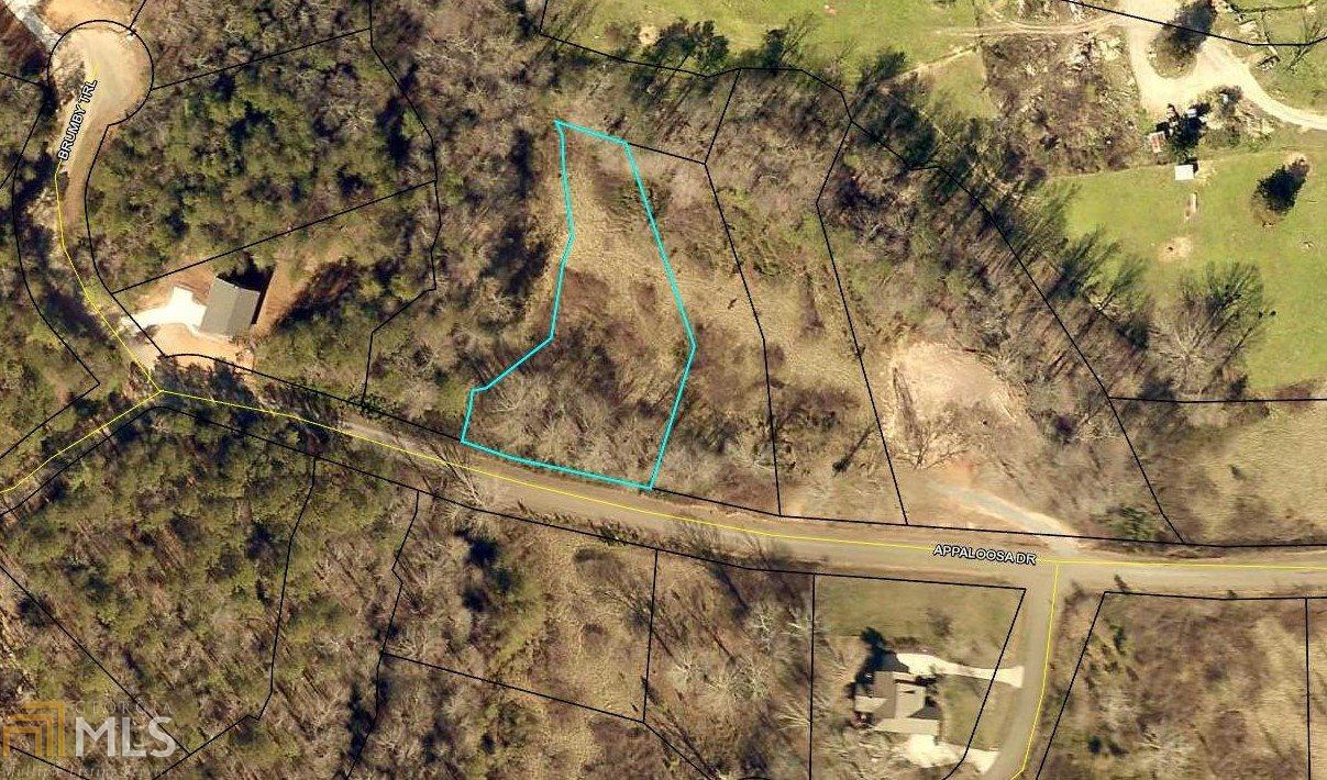 5 Appaloosa Dr - Photo 1