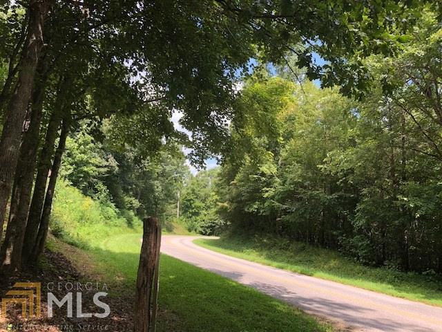 0 Truelove Mountain Rd - Photo 1