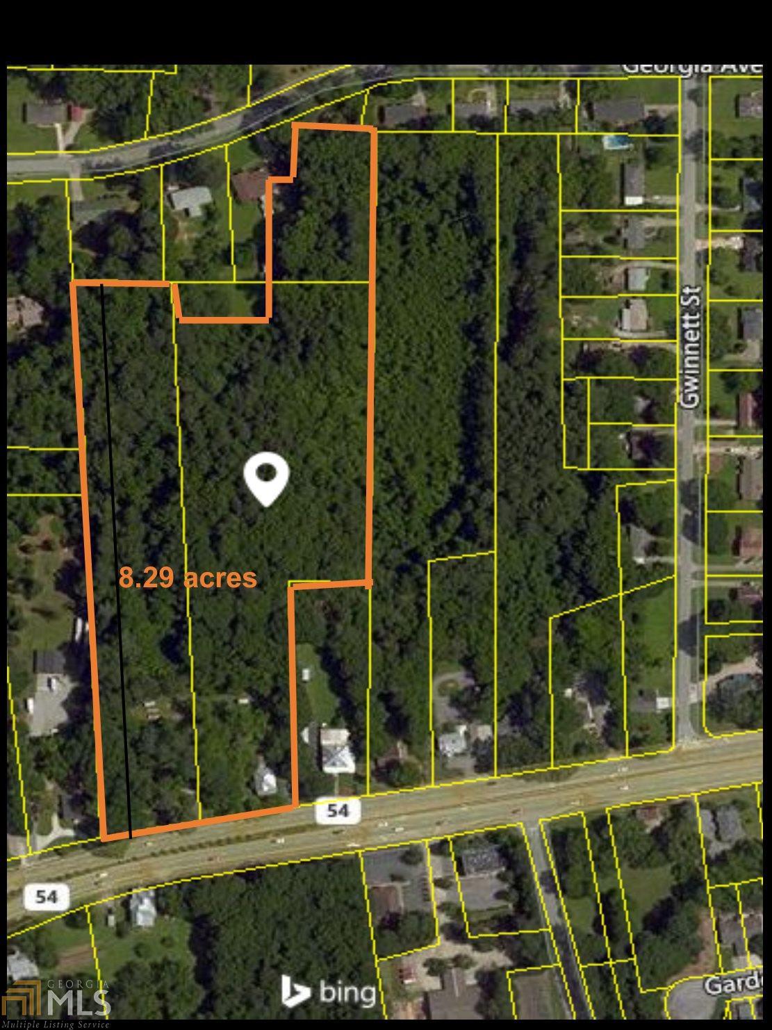 0 Lanier Ave And Highway 54 E - Photo 1