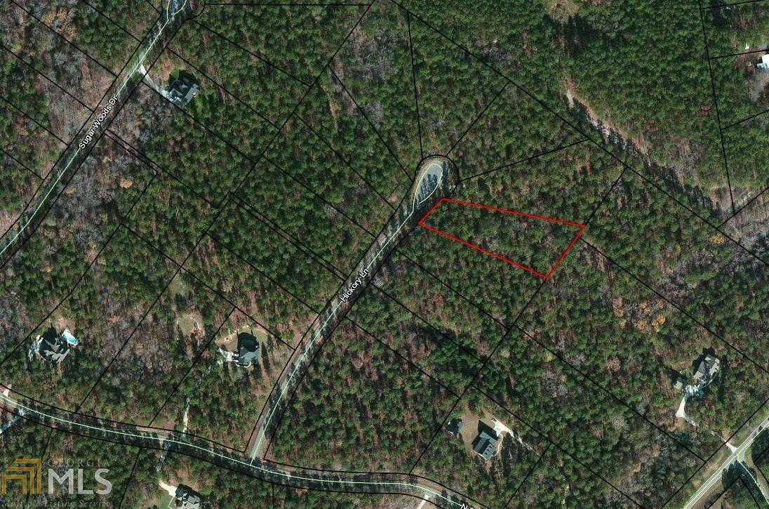 0 Hickory Ln - Photo 1