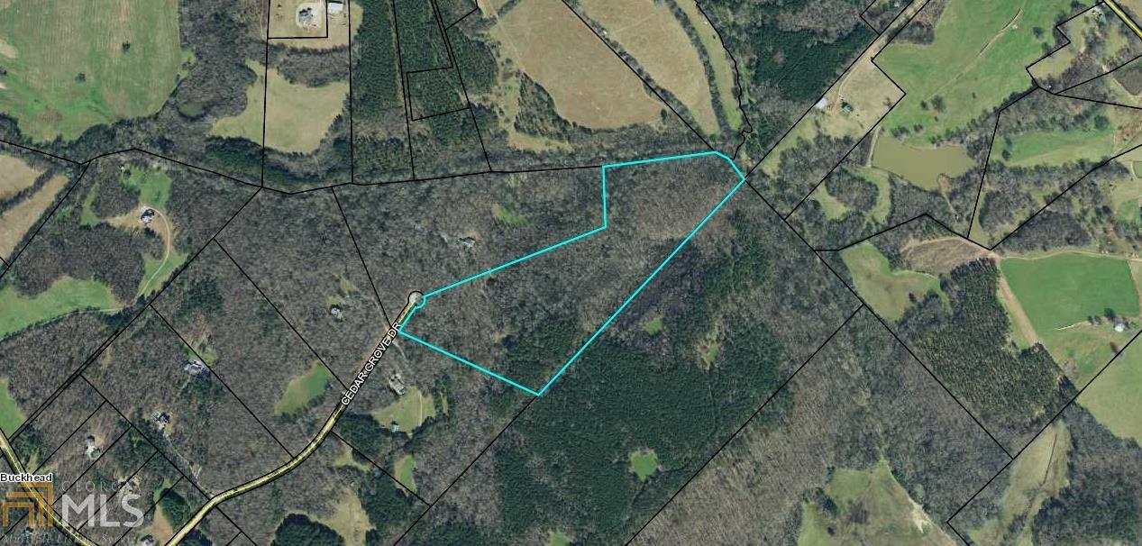 1111 Cedar Grove Dr - Photo 1