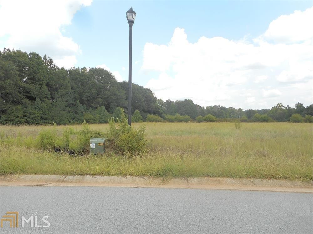 133 Carson Pl - Photo 1
