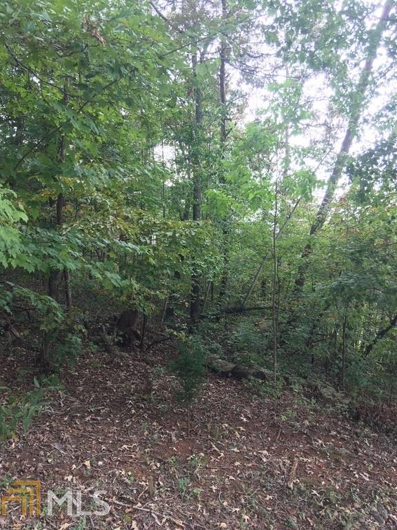 4444 Morrison Rd - Photo 1