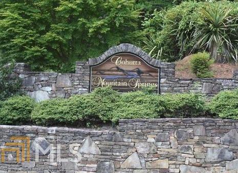 0 Mountain Springs Rd - Photo 1