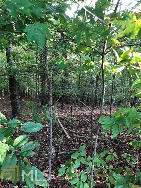 148 Sky Country Rd - Photo 1
