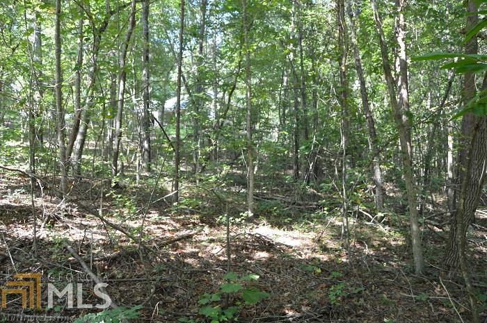 0 Oak Dr - Photo 1
