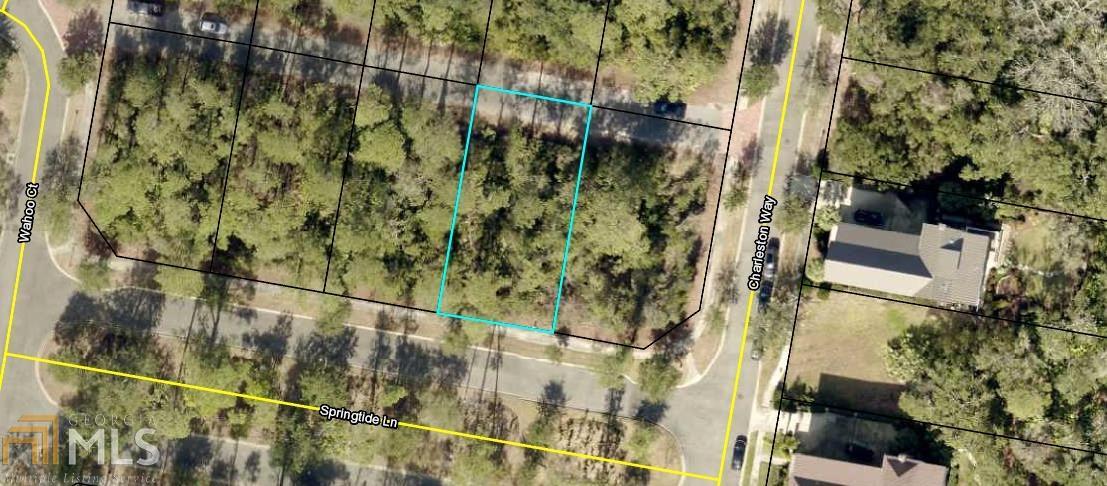 0 Springtide Ln - Photo 1