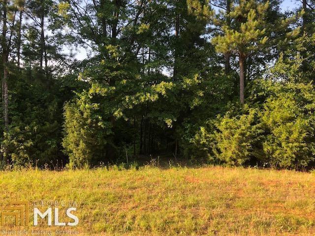 0 Davis Academy Rd - Photo 1