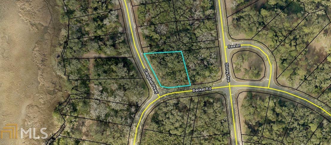 0 Campbell Pkwy Ch - Photo 1
