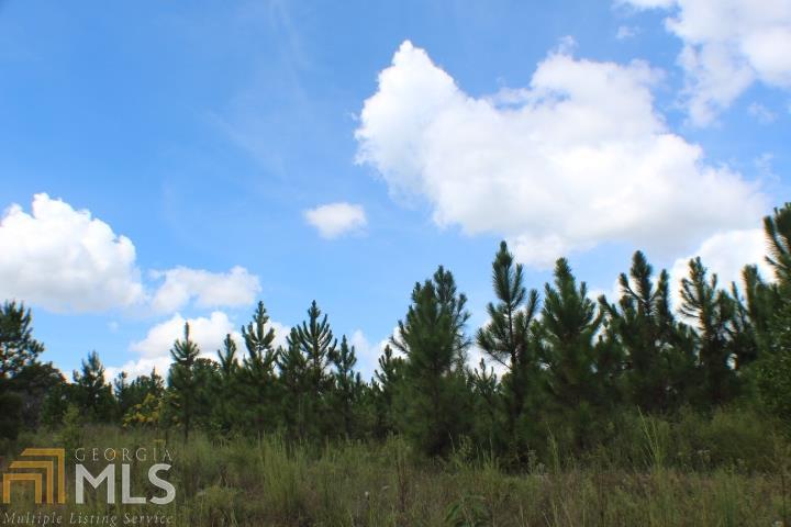 0 Etheridge Rd - Photo 1