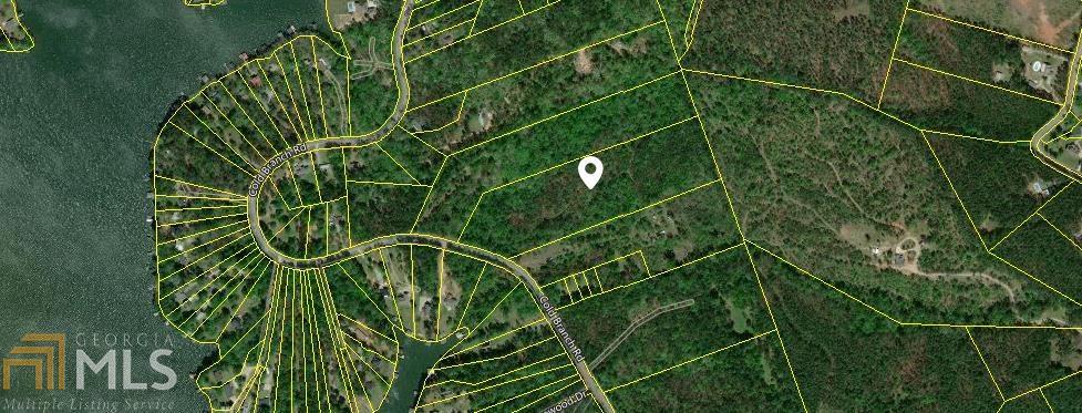 0 Cold Branch Rd - Photo 1