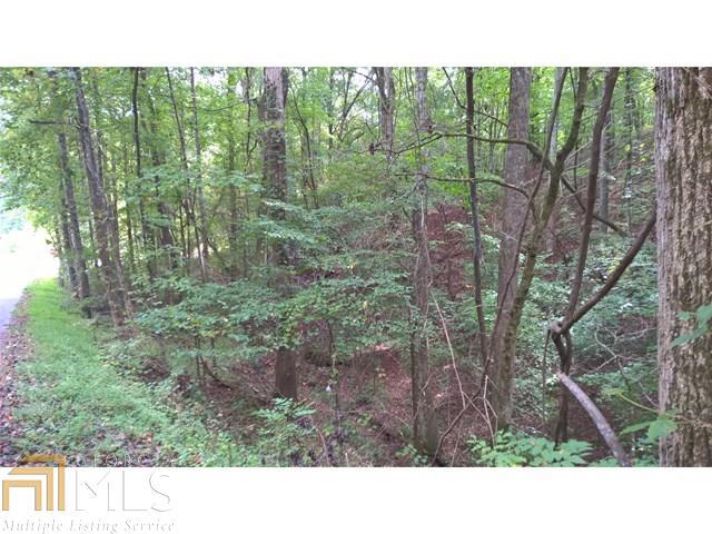 0 Longbranch Rd - Photo 1