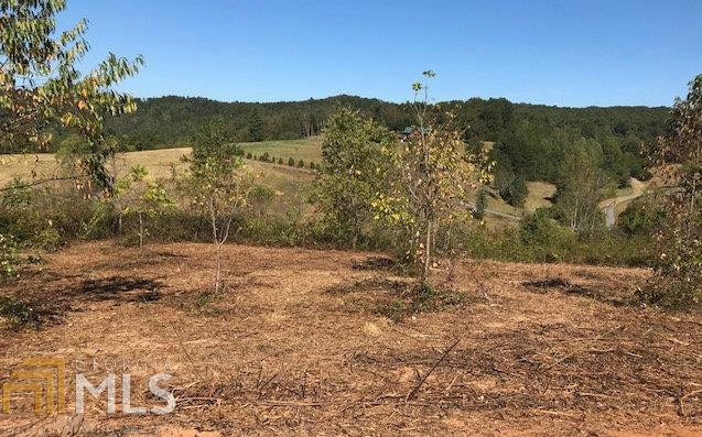 0 Saddle Ridge Farms - Photo 1