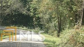 0 Raven Cir - Photo 1