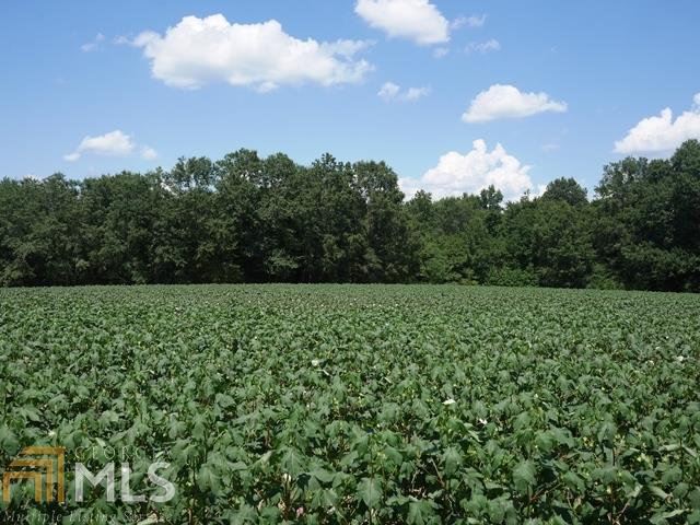 0 Old Louisville Rd - Photo 1