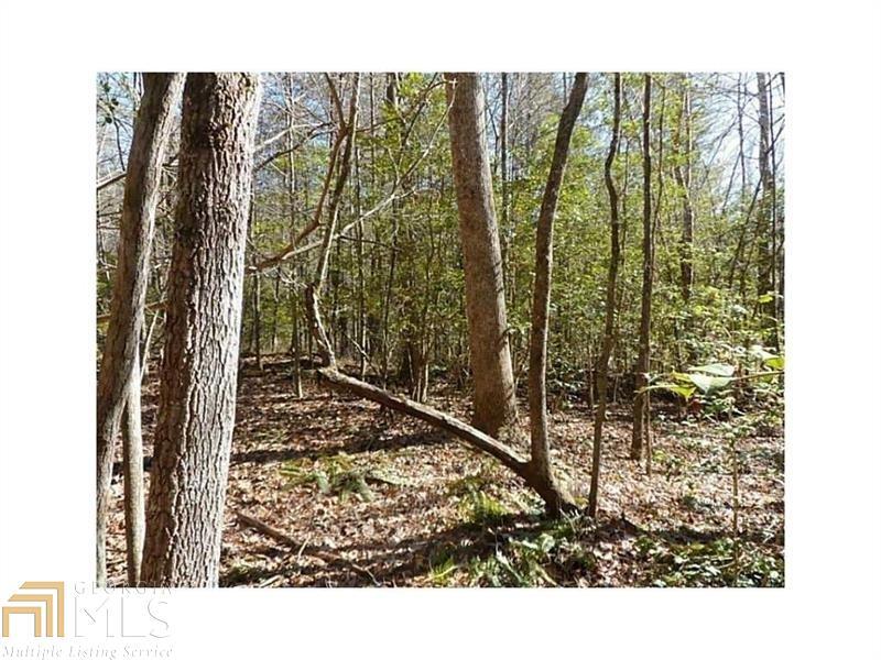 0 Goldmine Rd - Photo 1