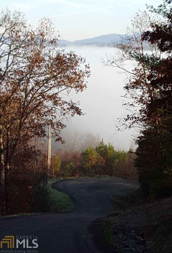 0 Riverview Ln - Photo 1