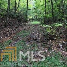 156 Lowman Rd - Photo 1