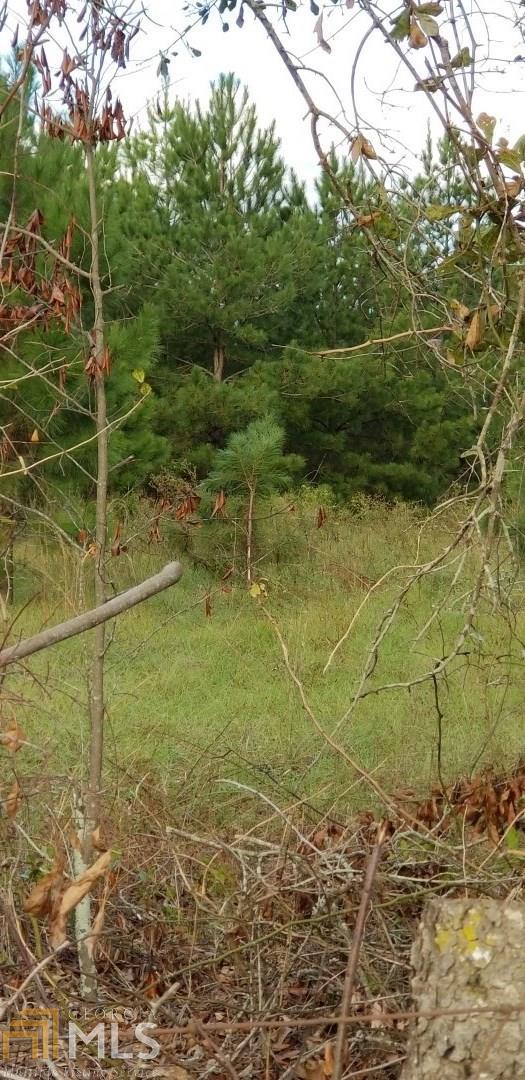 0 Whipple Simpson Rd - Photo 1