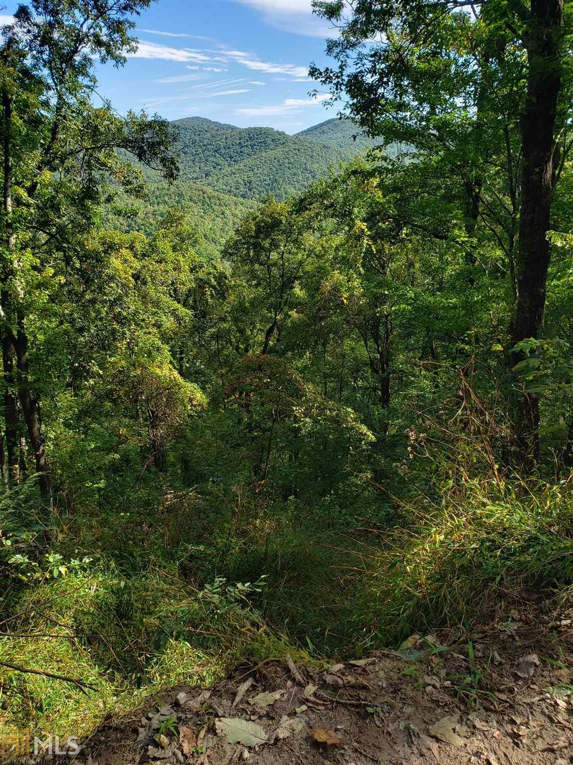 0 Mule Branch Rd - Photo 1