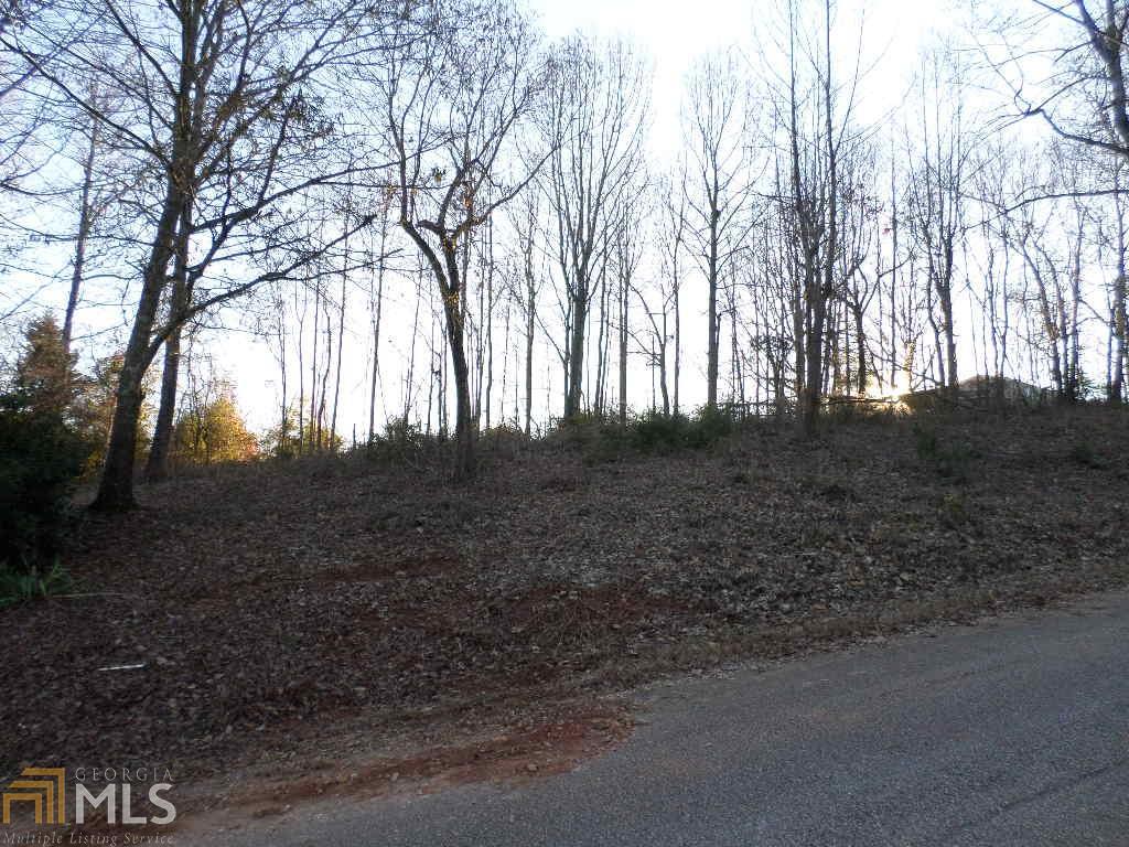 0 Briarcliff Trl - Photo 1