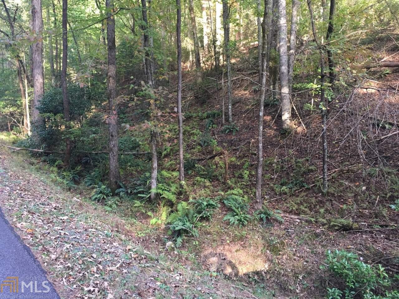 0 Seneca Dr - Photo 1