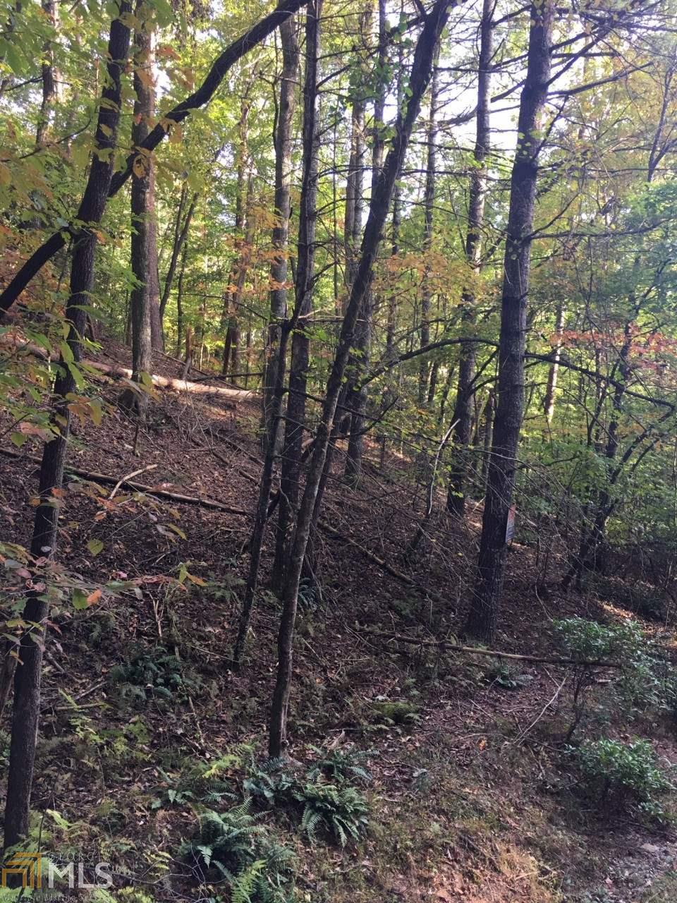 0 Seneca Dr - Photo 1