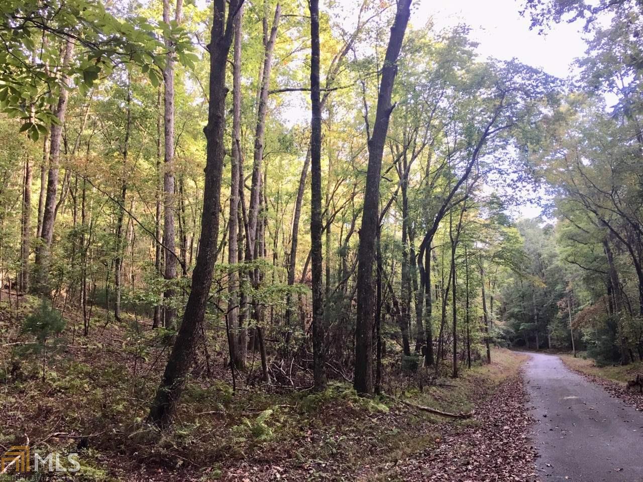 0 Walhalla Ct - Photo 1