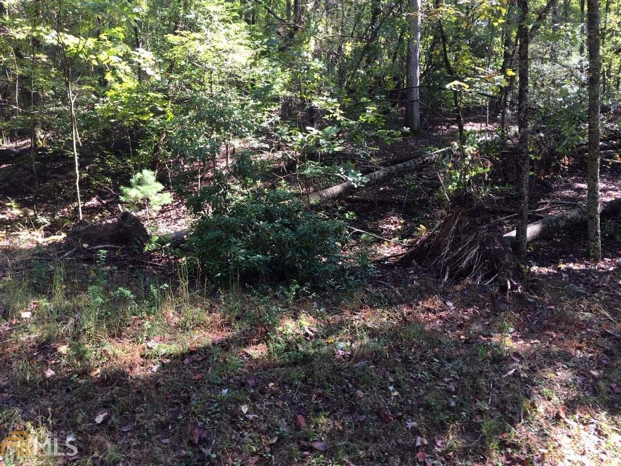 0 Etowah - Photo 1