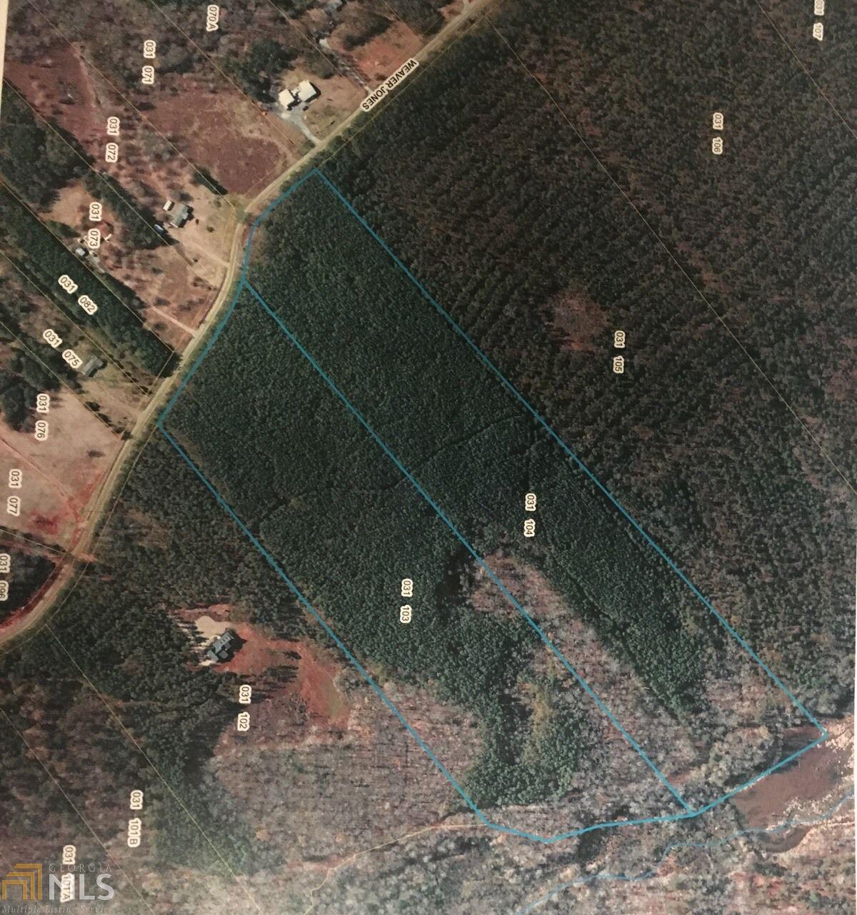 0 Weaver Jones Rd - Photo 1