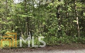 0 Lazy Springs Rd - Photo 1