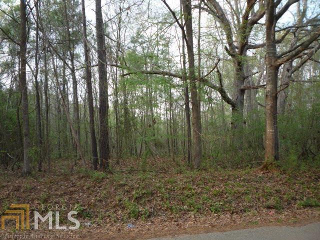 0 Bowdoin Rd - Photo 1