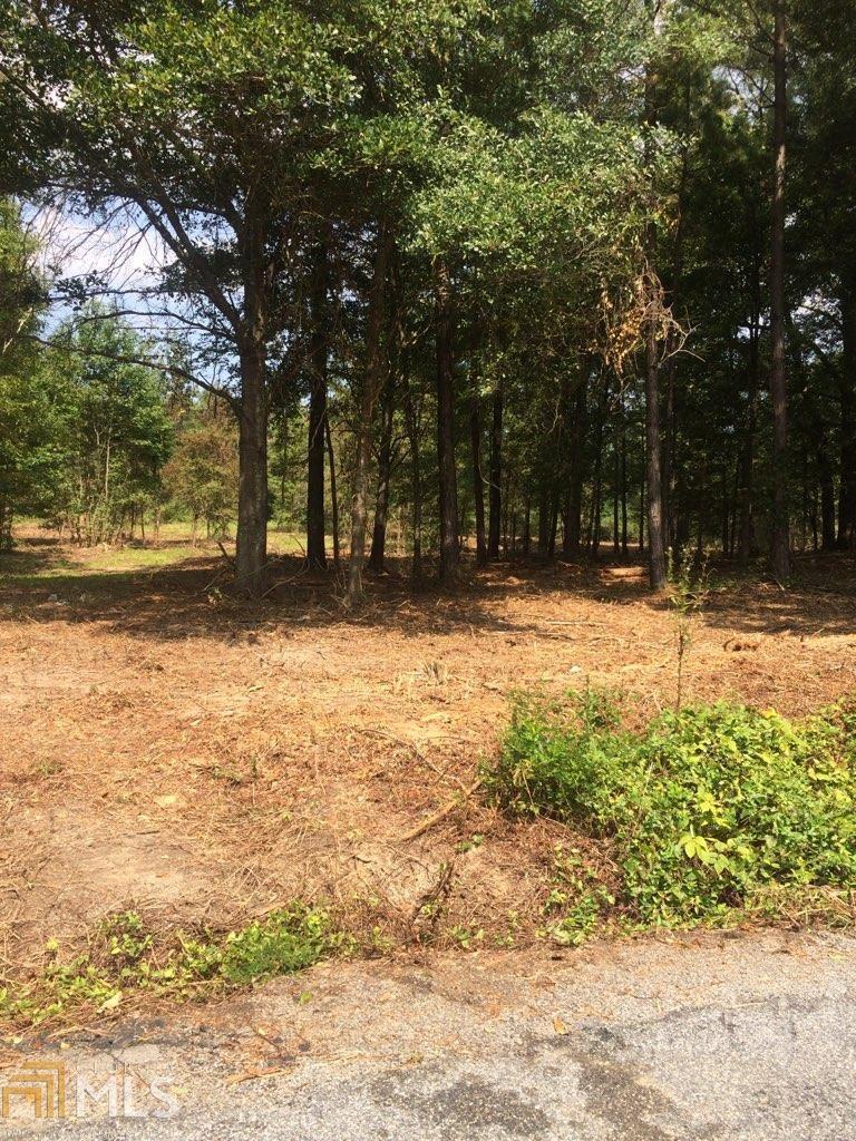 104 Napier Rd - Photo 1