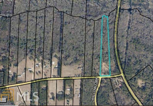 0 Lee Rd - Photo 1