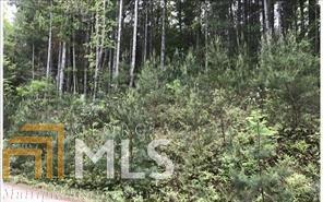 0 Lazy Springs Rd - Photo 1