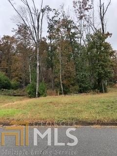 1339 Woodtrace Ln - Photo 1