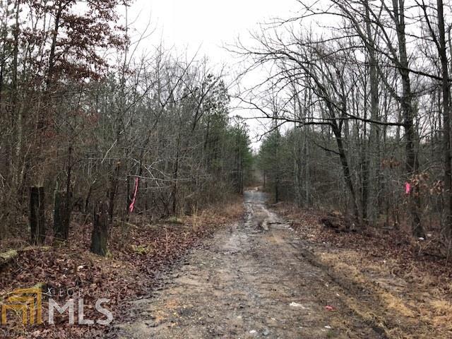 0 Manning Lake Rd - Photo 1