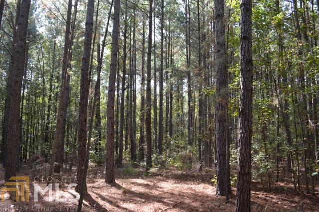 0 Jarrell Pond Rd - Photo 1