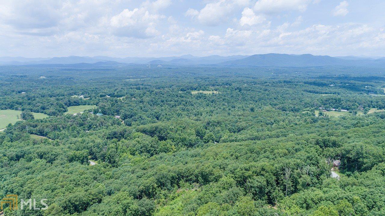 25 Long Mountain Trl - Photo 1
