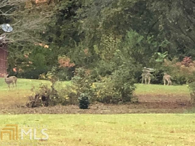 4863 Old Mountain Park Rd - Photo 1