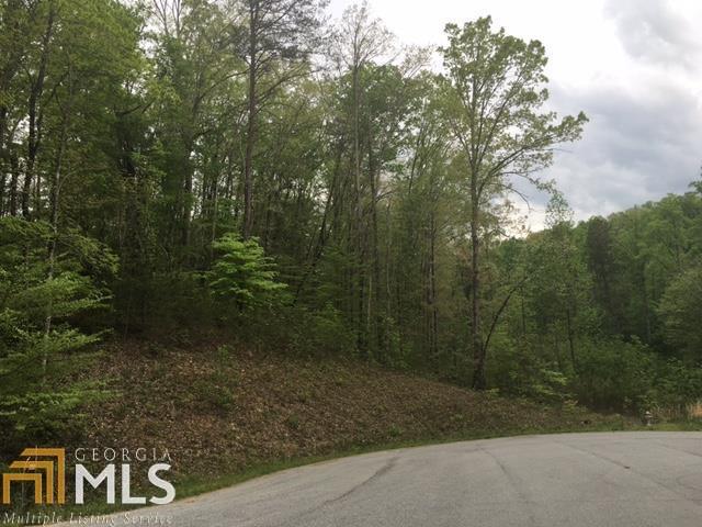 0 Trails Of Long Mountain - Photo 1