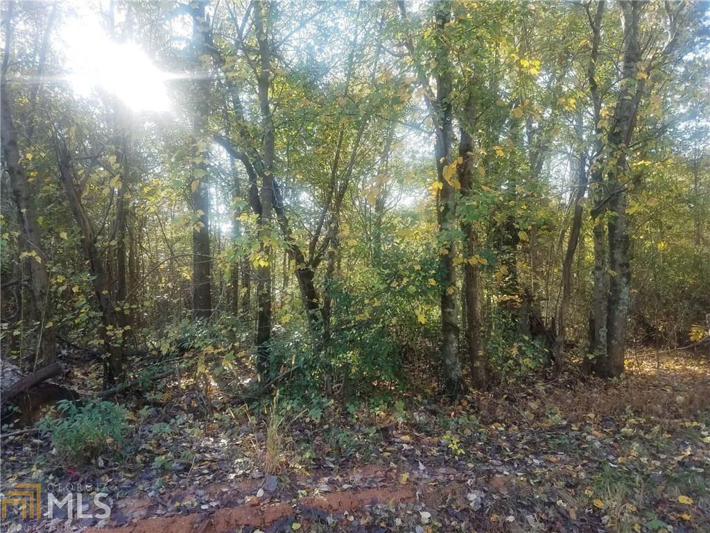 0 Scott Rd - Photo 1
