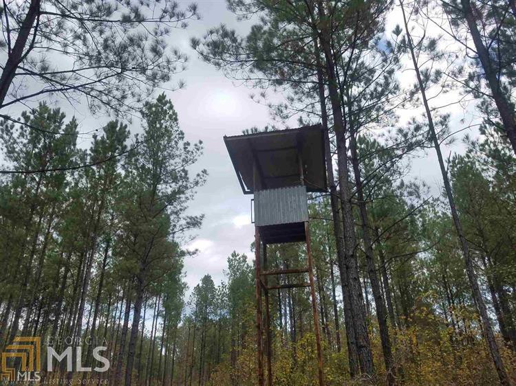 0 Powell Church Rd - Photo 1