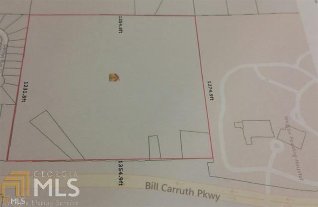 310 Bill Carruth Pkwy - Photo 1
